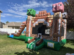 Large Pixelated Combo IMG 3453 1757907669 Large Pixelated Combo