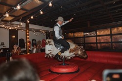 Mechanical Bull