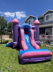 IMG 0229 1770162475 PINK & Purple Princess Combo