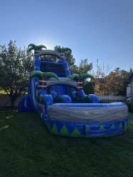 IMG 0445 1770174492 22' tall super blue hawaiian