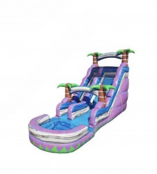 IMG 0640 1719873264 1 20' Purple Paradise Plunge